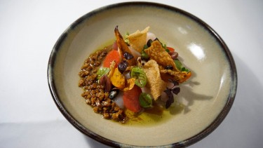 Gebeizter Hamachi - Gebeizter Hamachi mit geröstetem Kürbis und gepickeltem Rettich
Koch: Norman Faust