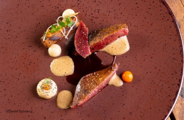 Pigeon grilled on the carcass  - Pigeon grilled on the carcass - black salsify - miso